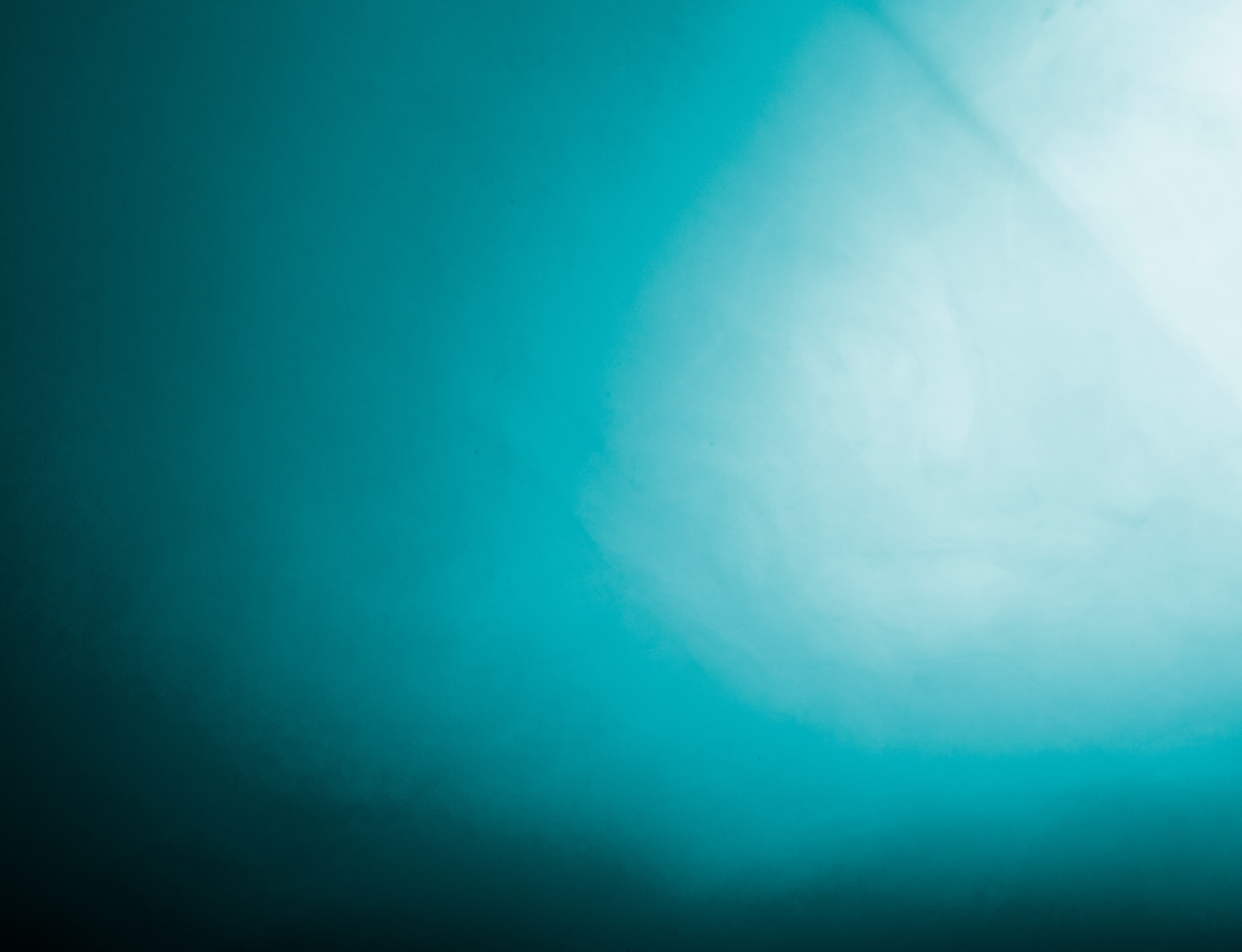 Softution portfolio
